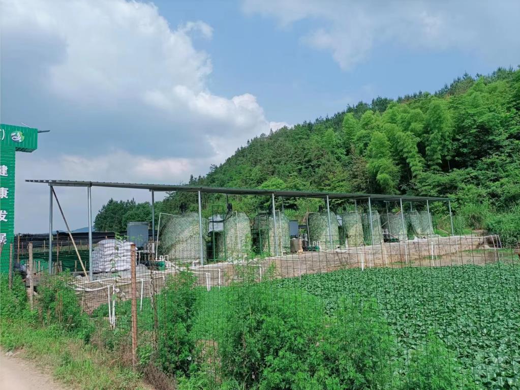 牛蛙養殖（zhí）汙水處理除磷加藥